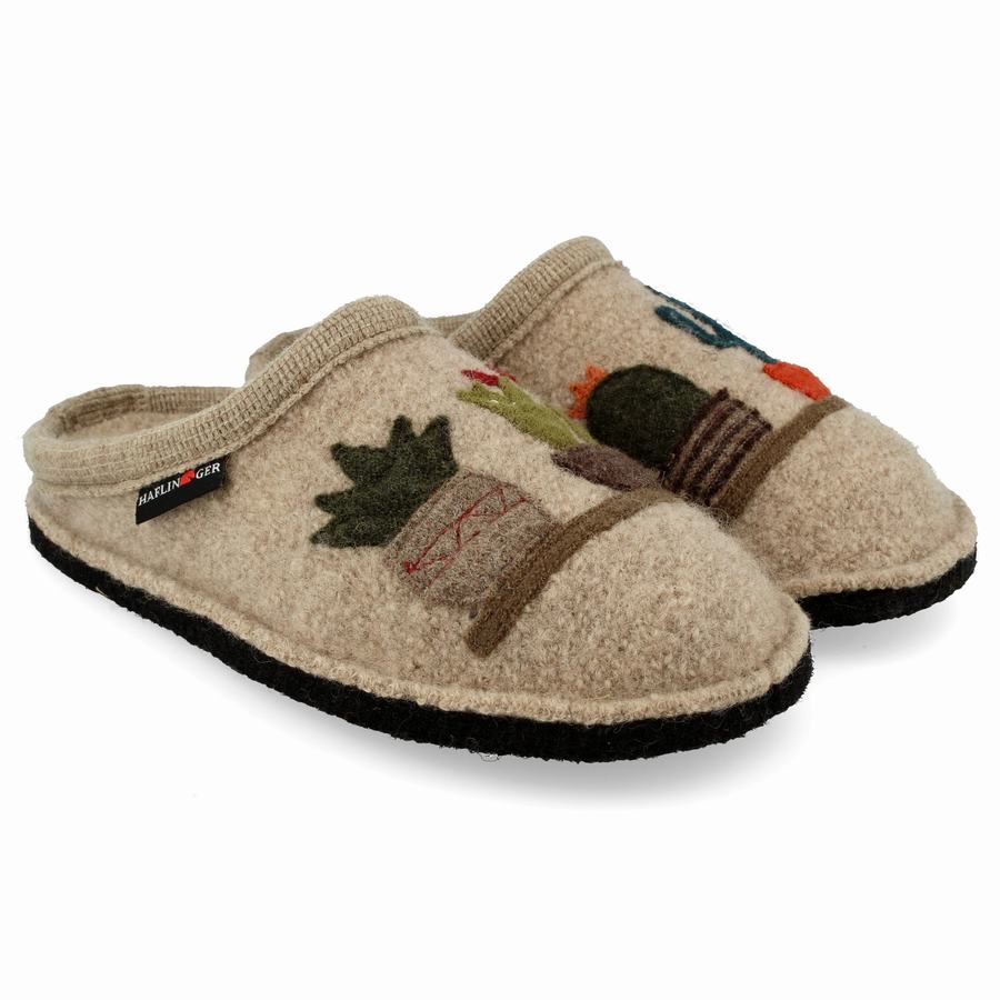 Chaussons Novelty Haflinger Cactus Femme Beige | OJI7272EV