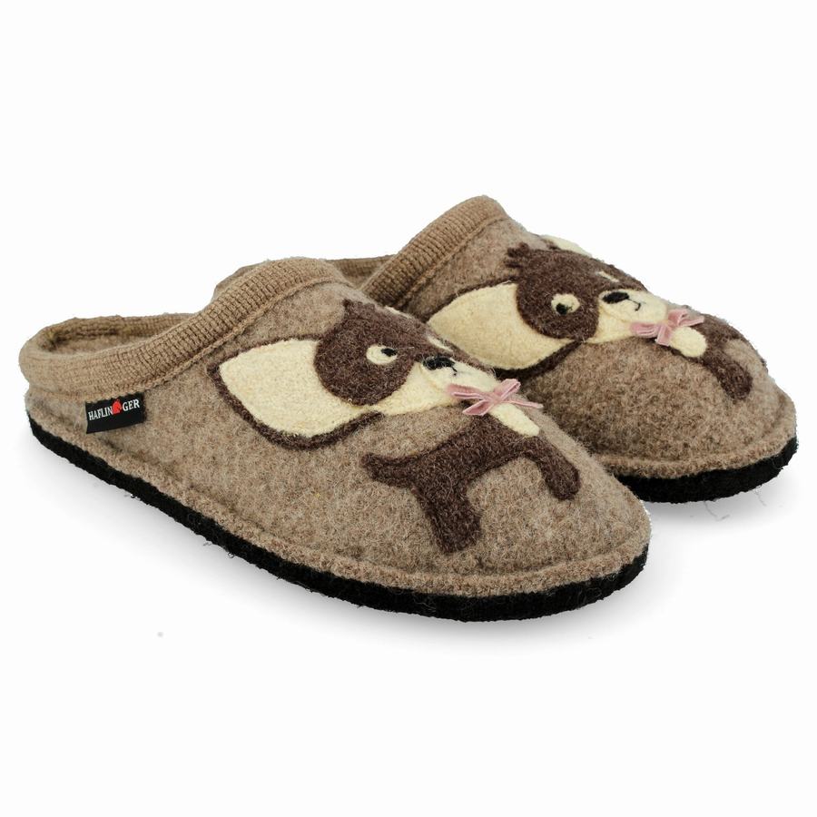 Chaussons Novelty Haflinger Chihuahua Homme Marron | GKK684GE