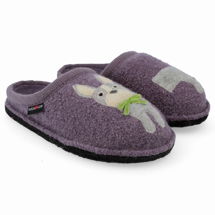 Chaussons Novelty Haflinger Puppy Homme Violette | VZE2322CQ