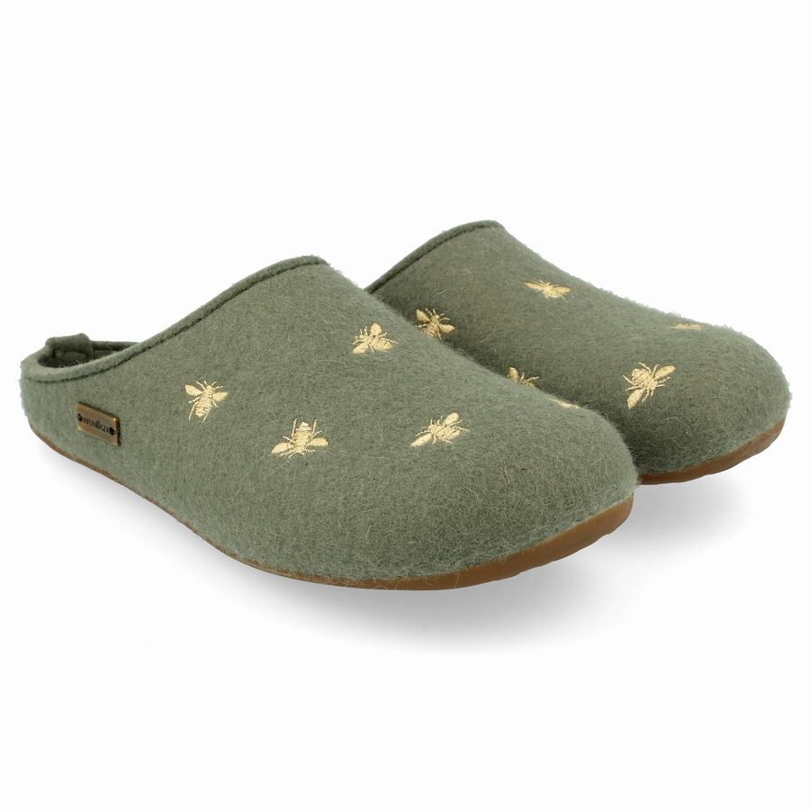 Chaussons à semelle souple Haflinger Api Homme Vert Clair | LGQ116YL