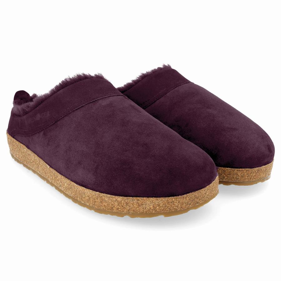 Sabots Haflinger Snowbird Femme Violette | PFC3682TF