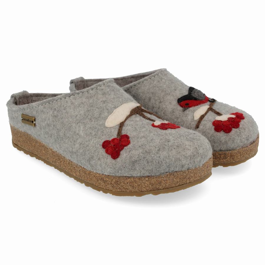 Sabots Haflinger Winterbird Homme Argent Grise | WYD3763YR