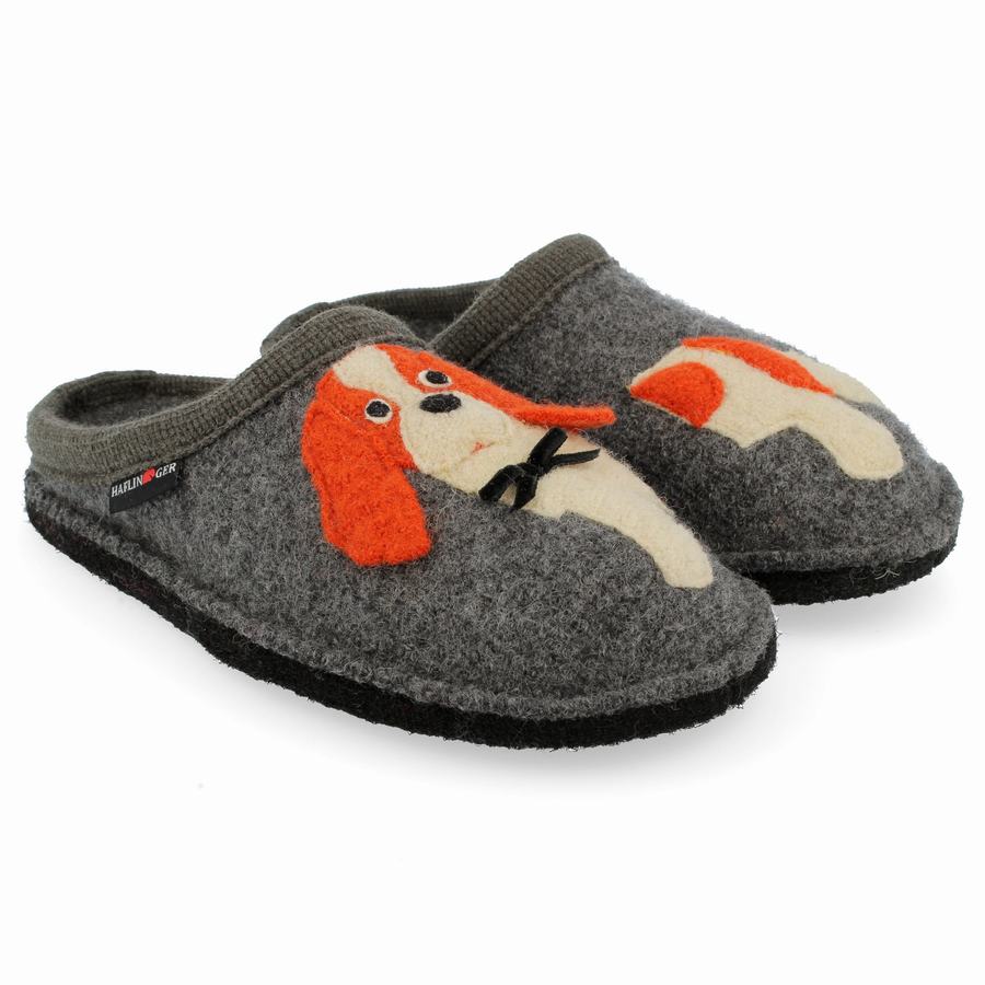 Chaussons Novelty Haflinger Spaniel Femme Grise | UXA225VF